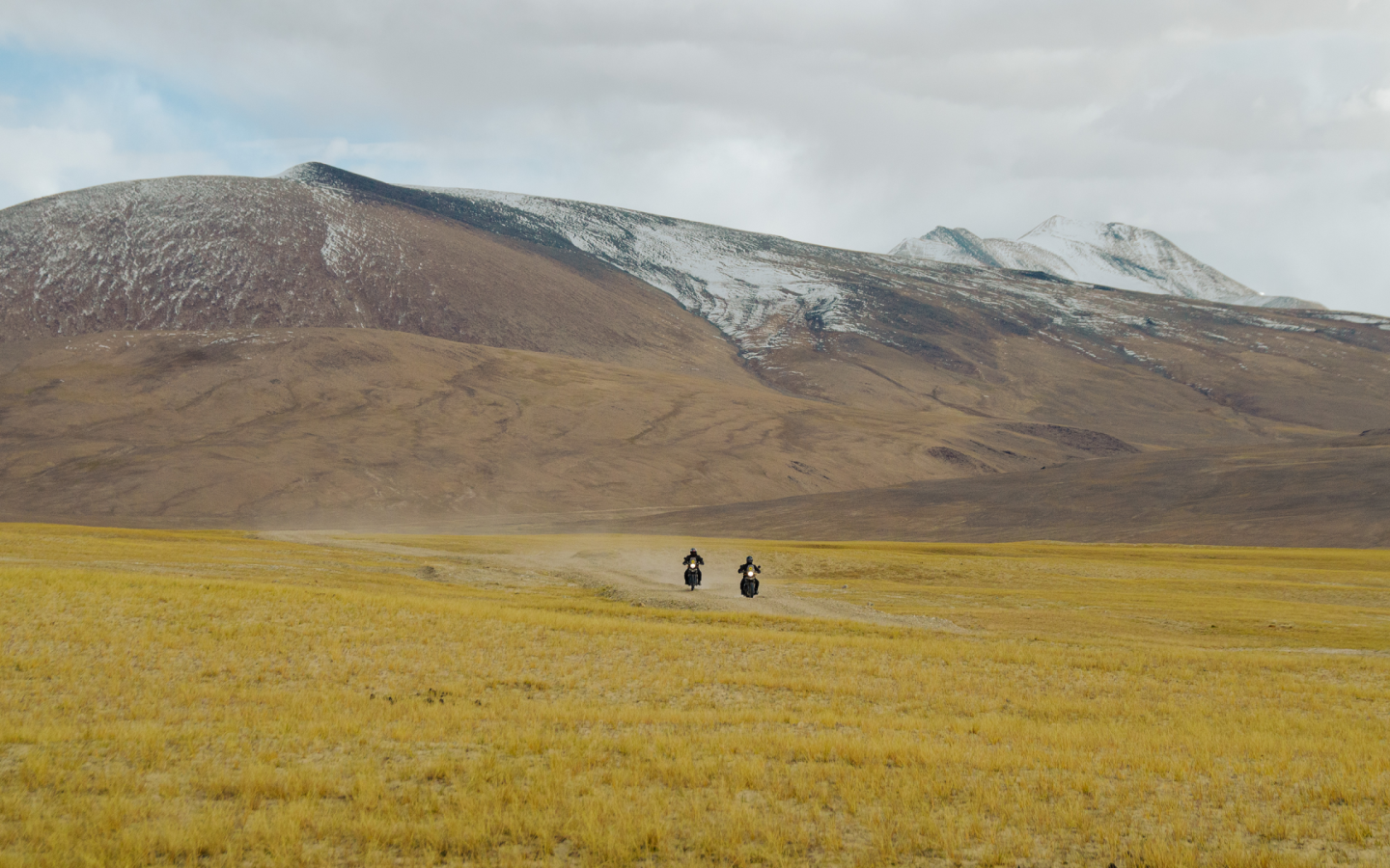 THE HIGHEST HIGH 2026