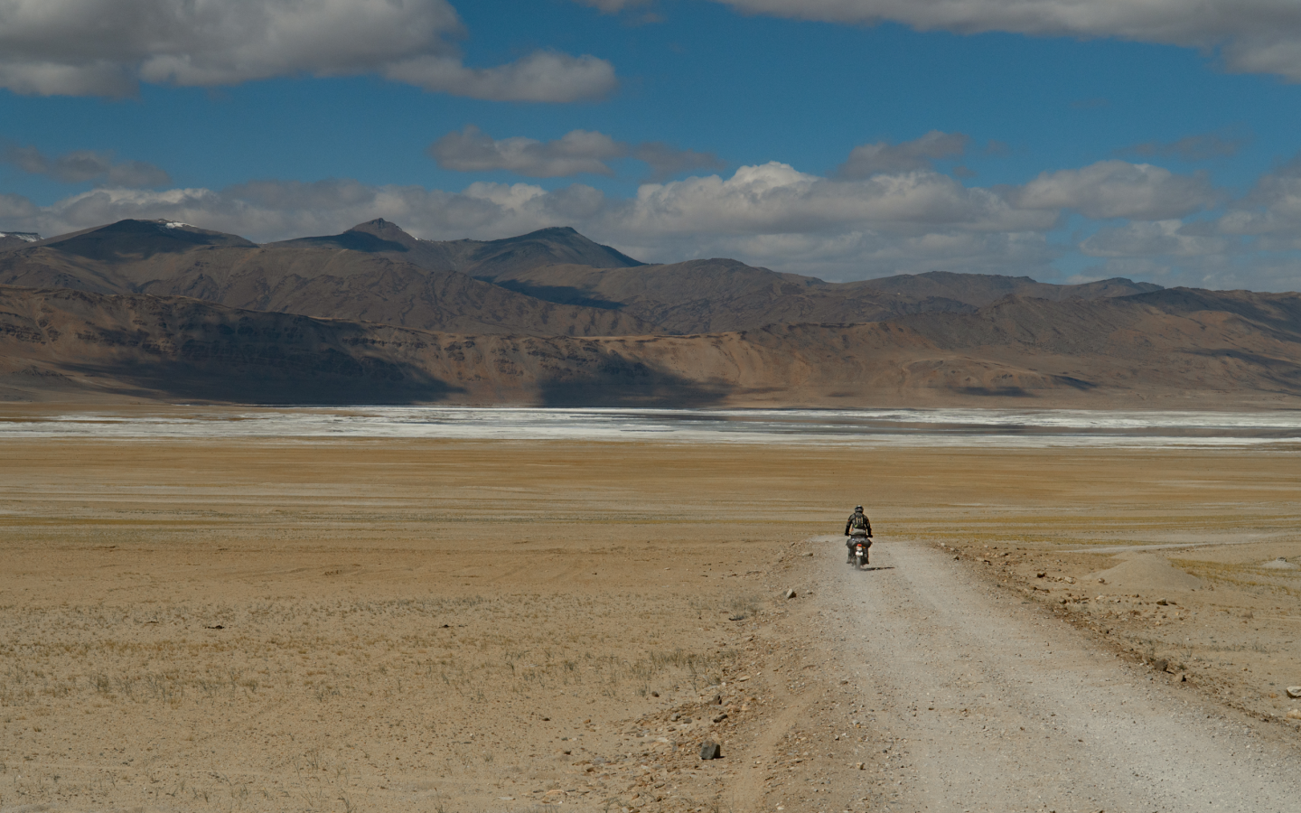 WILD ASS TRAILS 2026